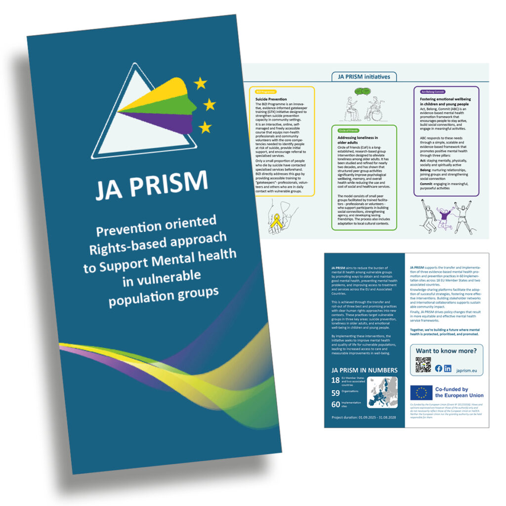 Project leaflet (M65)